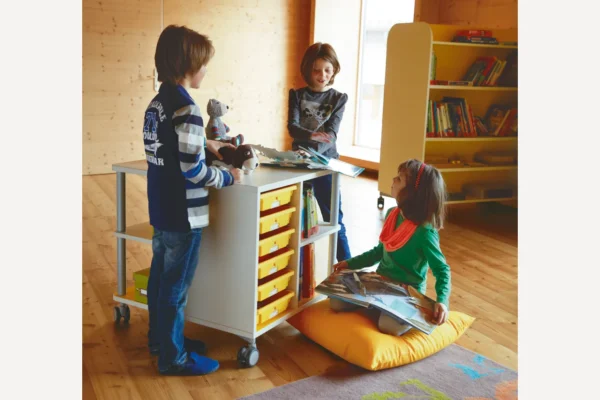 4009.011 Dótahilla - Image 7