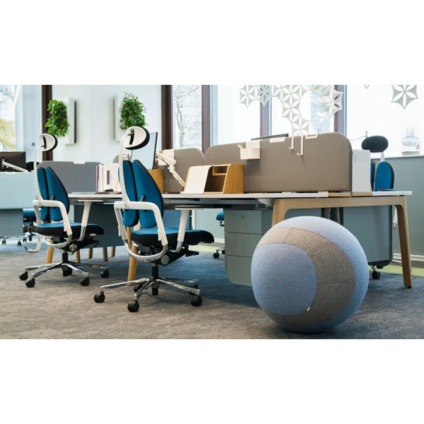 Dotto - Image 5