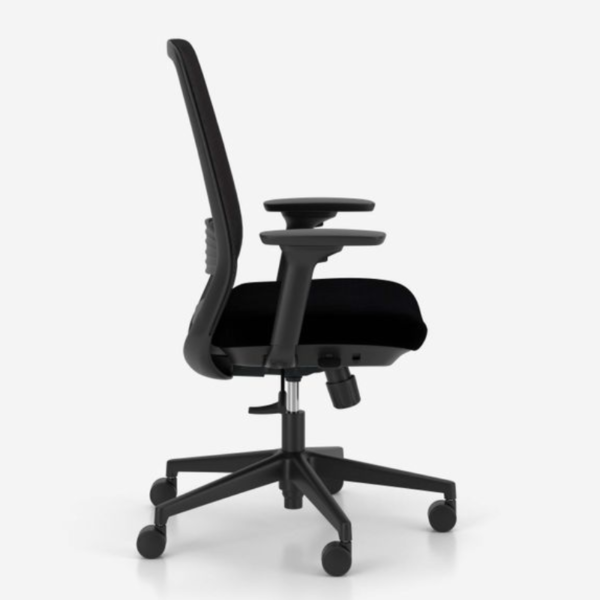 Elovie - Image 3