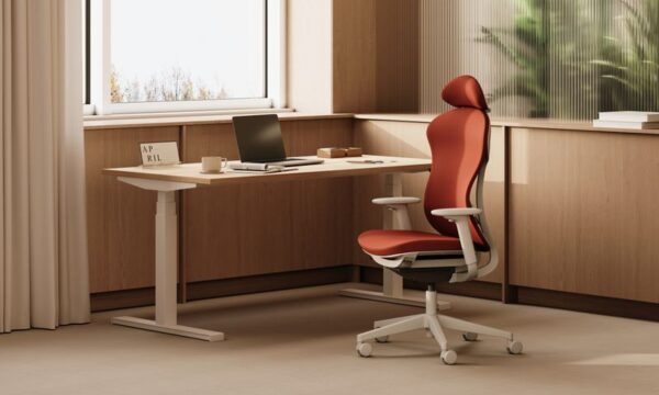 Prox - Image 11