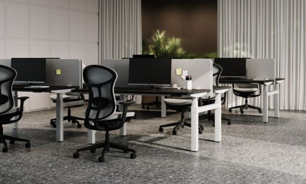 Prox - Image 12